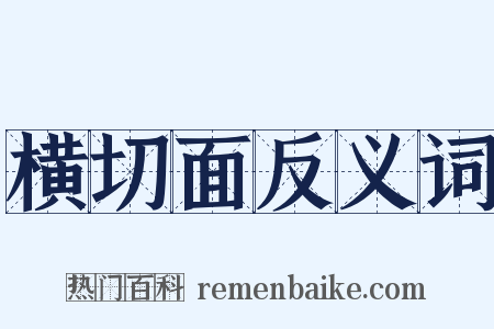 横切面反义词是什么意思的图片